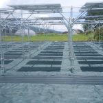 営農型太陽光発電