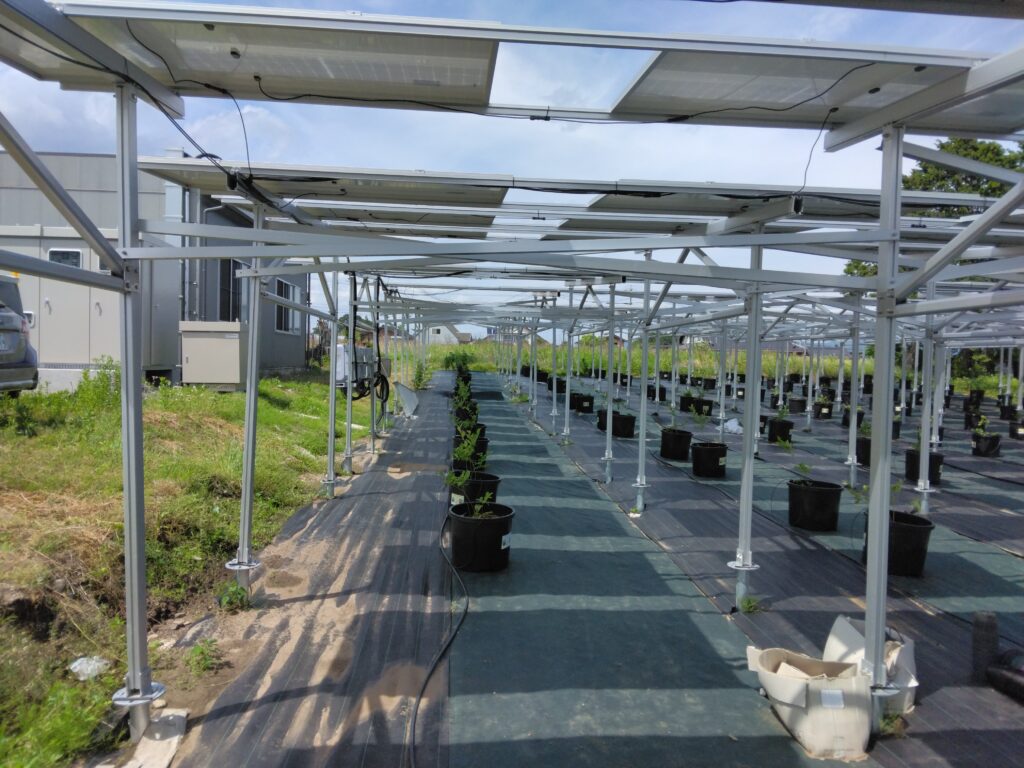 太陽光発電