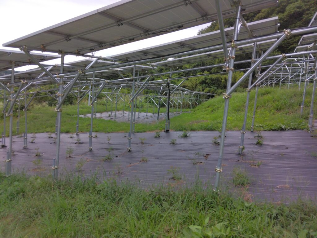 営農型案件２